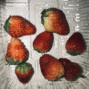 操逼免费在线观看
